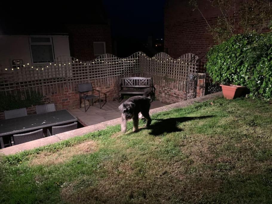 Award Winning Pet Friendly Paddock Cottage Whitby Esterno foto