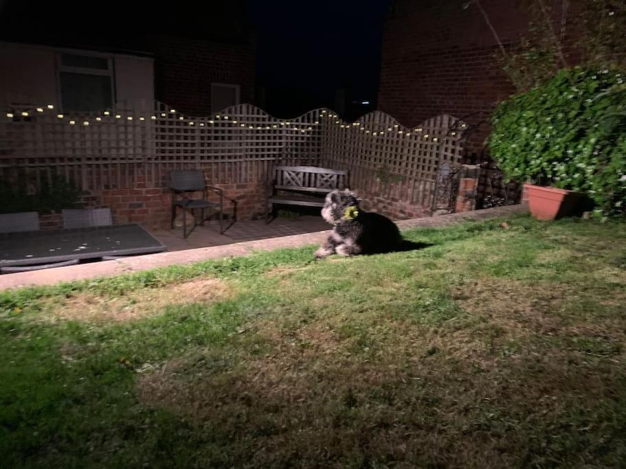 Award Winning Pet Friendly Paddock Cottage Whitby Esterno foto