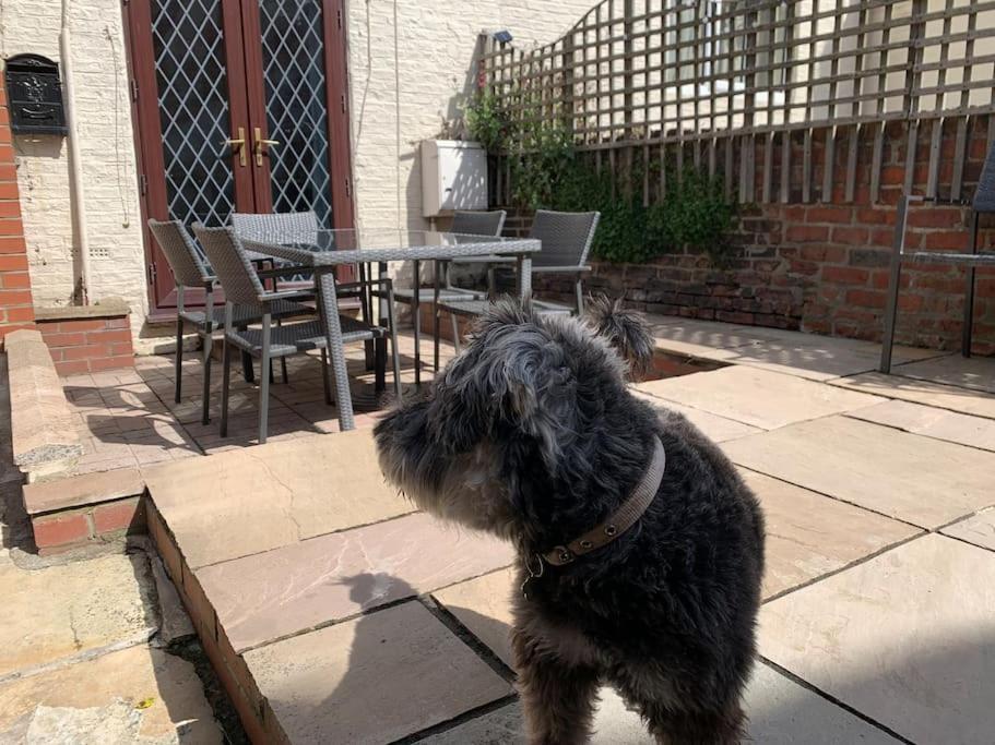 Award Winning Pet Friendly Paddock Cottage Whitby Esterno foto