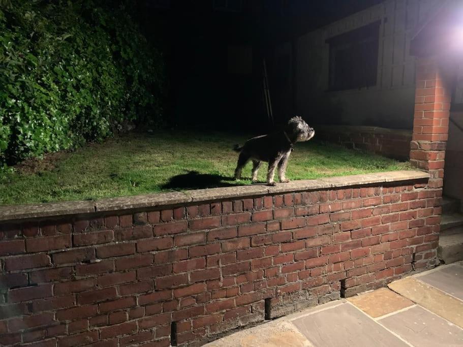 Award Winning Pet Friendly Paddock Cottage Whitby Esterno foto